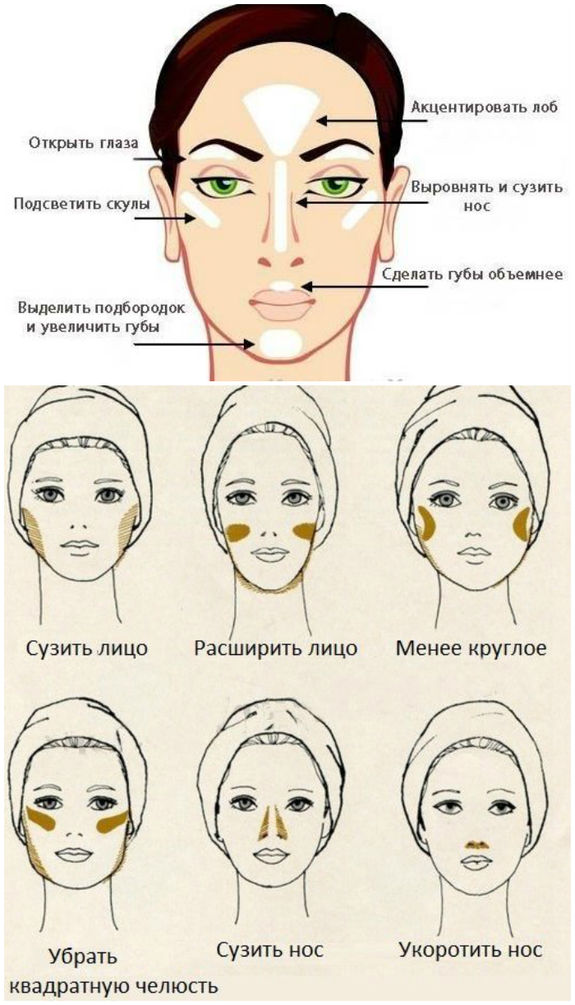 схема лица для визажиста